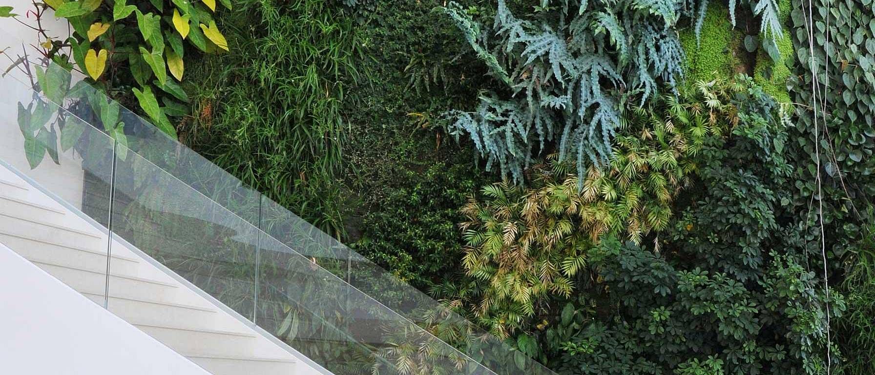 stairs with plants
