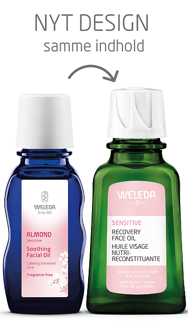Sensitive Recovery Face Oil