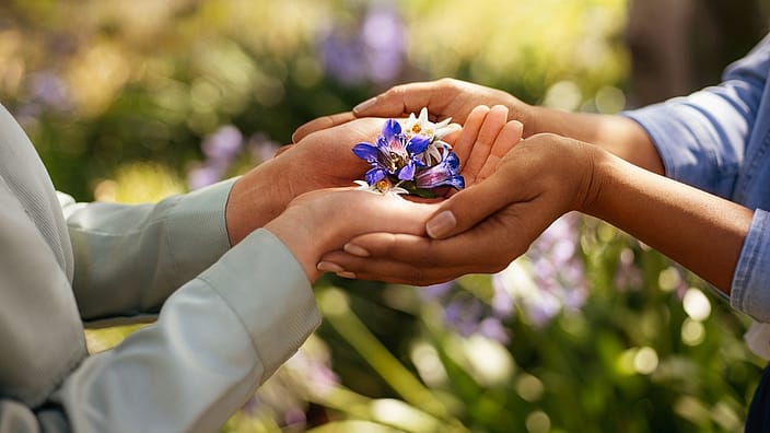four hands holding flower