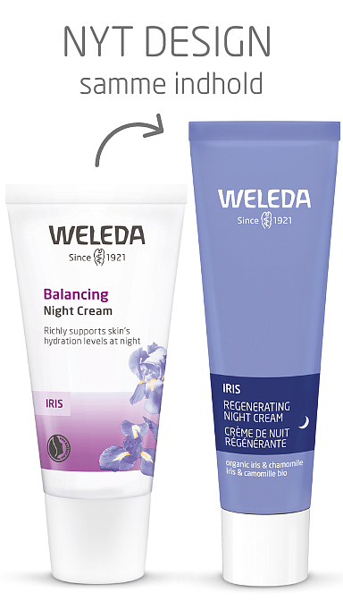 Regenerating Night Cream